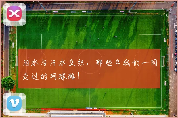 泪水与汗水交织，那些年我们一同走过的网球路！