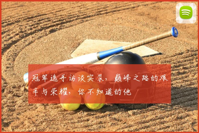 冠军选手访谈实录,巅峰之路的艰辛与荣耀,你不知道的他