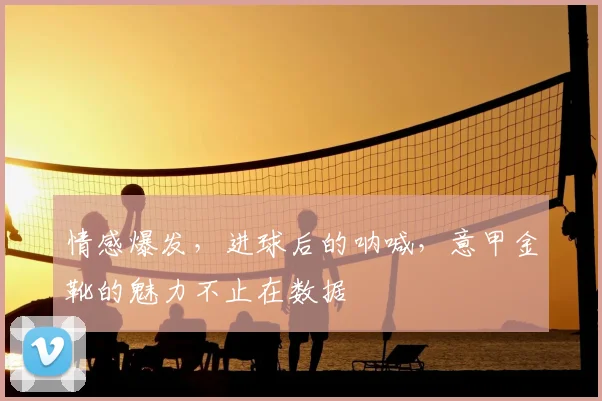 情感爆发,进球后的呐喊,意甲金靴的魅力不止在数据