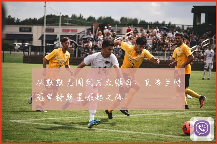 从默默无闻到万众瞩目，瓦洛兰特冠军榜新星崛起之路！